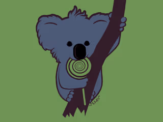 Koala Kandy
