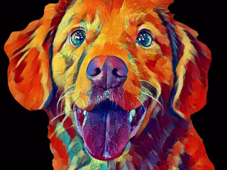 Digital Paintings