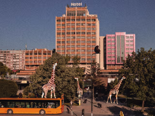 Urban Jungle