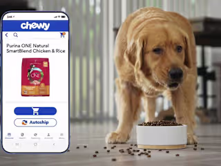 Chewy Pet and Toy Sales and Care | React Native