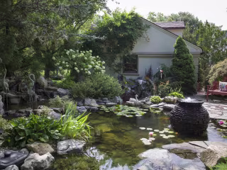 Pond Filter Buyer's Guide
