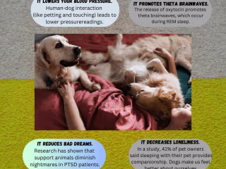 professional infographics design 