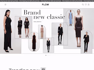 FLOW shop website