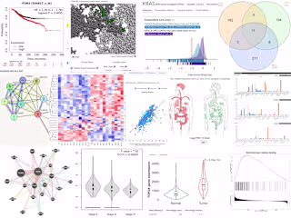Lessons - Bioinformatic Online Tools for Cancer Research
