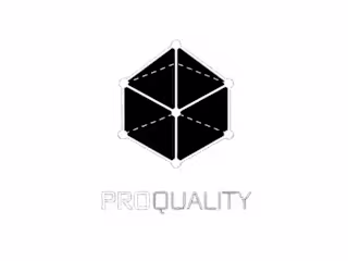 Pro Quality Inspection Website Design and SEO Optimization