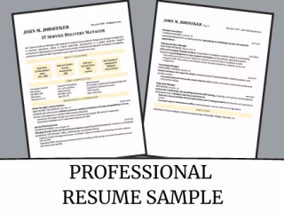 Custom Resume Design Senior-level