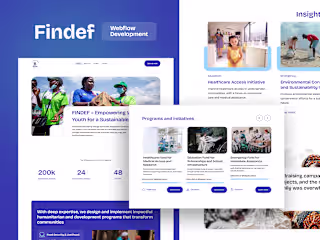 FINDEF - Webflow Development