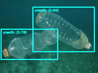 Underwater object detection for plastics and fishes