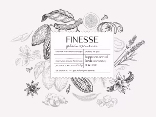 Finesse - Visual identity