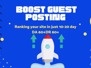I provide all seo service