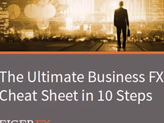 Ebook: The Ultimate Business FX Cheat Sheet in 10 Steps