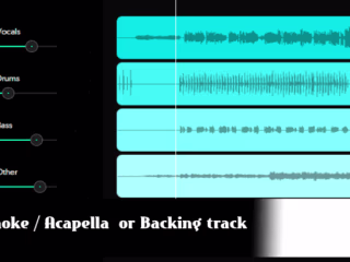 I will create karaoke instrumentals or acapellas from any song