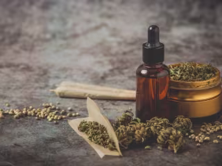 Article Writing on CBD for Health & Wellness
