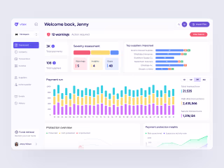 Vtex - Payment Protection Dashboard Software