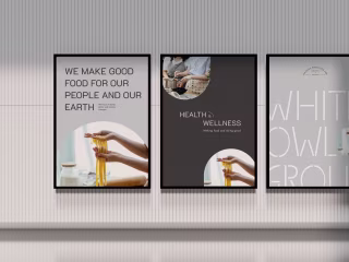 Sustainable health and wellness | Brand Identity Design