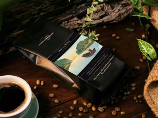Case Study: Art Direction and Illustration