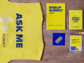 RiseUp Summit'17: Case Study