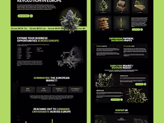 Mern Stack Bussiness Website
