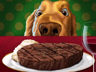 Pet Food Packaging