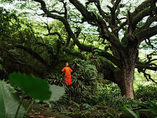 Birds of Paradise: The Creole Flamboyance - Céleste Caribbean