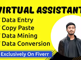I will do data entry, data mining, data collection, copy-paste