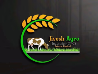 Logo Designs 