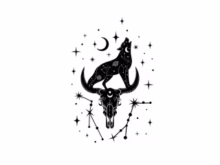 Tarot Card - Complete Mobile Application Development