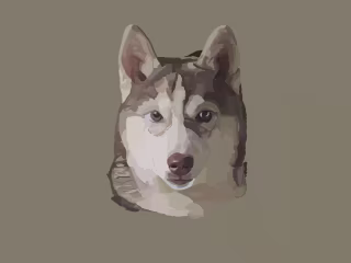 Digital Pet Portraits