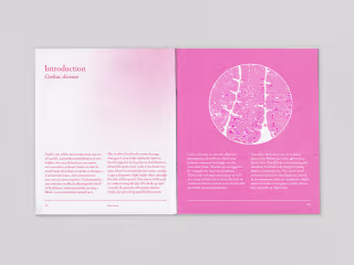 Free From - The little celiac guide on Behance