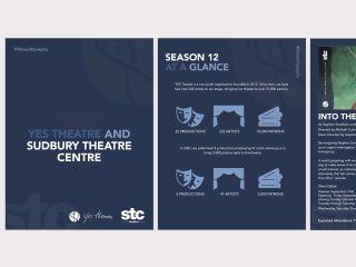 YES Theatre & STC Pilot Season Visual Identity 