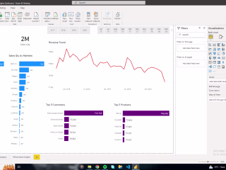 Sales Insights