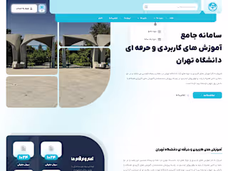 Senior Backend Developer at the University Of Tehran