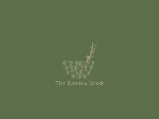 The Bamboo Shack (Brand Identity)