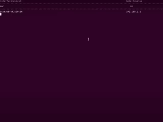 Network Reconnaissance Tool
