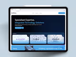 Hiedberg — All-in-One IT Solutions Partner