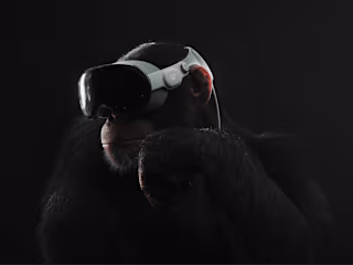 Gibbon - Spatial Technology