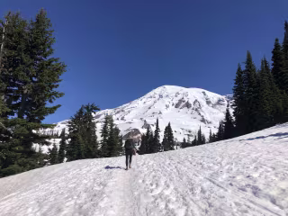Blog: "Spring Experiences in Washington’s National Parks"