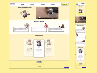 AdoptMe - Neubrutalism Website Design Style