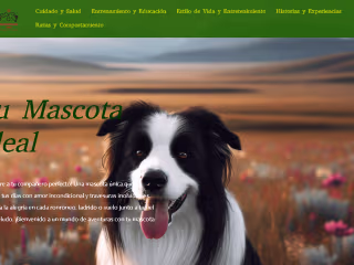 Diseño web con Divi para cliente
