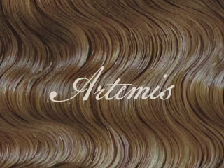 Artemis Hair Care Branding Design