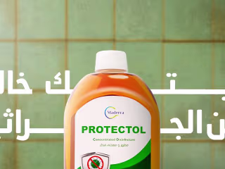 Maderra CONTENT