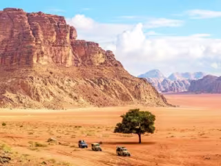 Travel blogs