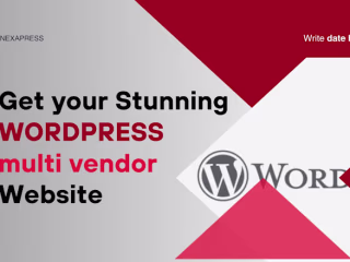 I will design a professional wordpress multivendor website desi…