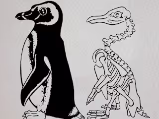 Children's Book Illustration - Skeletal System