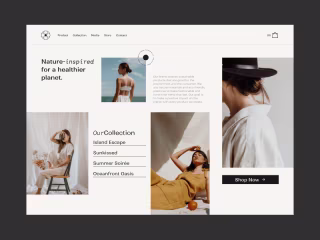 Fashion Store Web Design