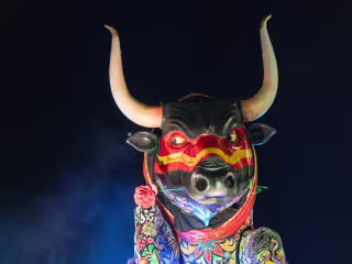 Carnival of Viareggio 2020