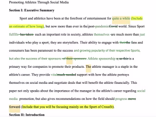 Revised and edited research document