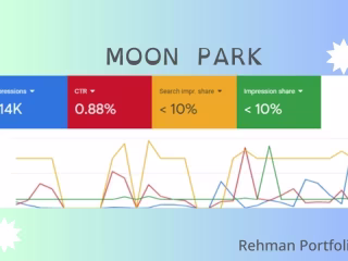 Moon Park Marketing Project