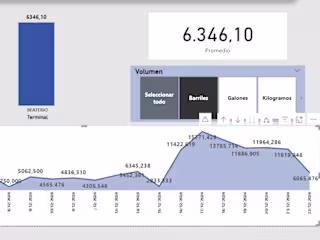 Data Entry and Analysis Project