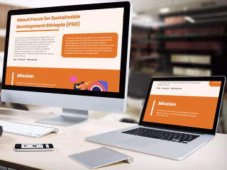 FSD: Stunning Landing Page
